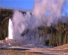 Geyser at Yellowstone National Park