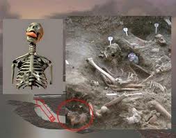 Forensic Archaeology Applications Forensic Archaeology Applications