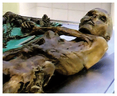 Otzi the Ice Mummy