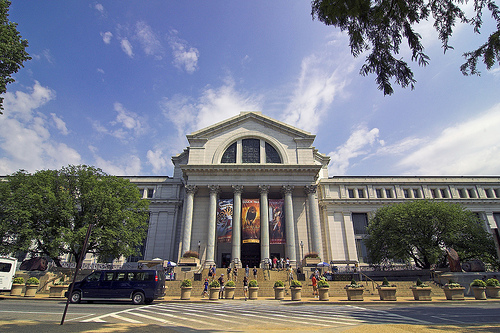 American Museum of Natural History in United States , The American Museum of 