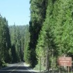 Ebbetts Pass National Byway