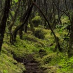 Kilimanjaro National Park