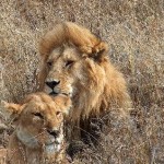 Serengeti National Park