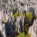 Tsingy de Bemaraha Strict Nature Reserve