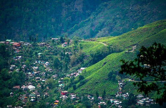 darjeeling Archaeology