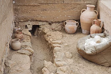 rakhigarhi Archaeology