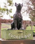 Dog on the Tuckerbox